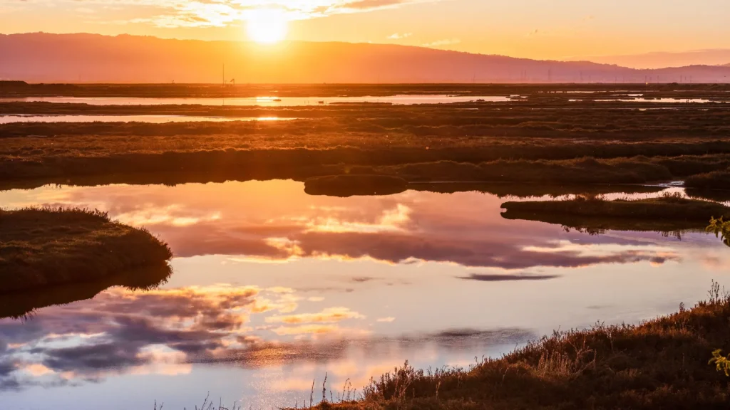 pond at sunset